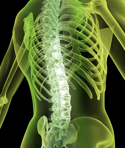 אבחון פריצת דיסק 