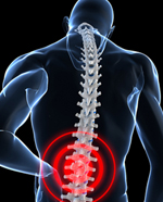 עמוד שדרה מותני