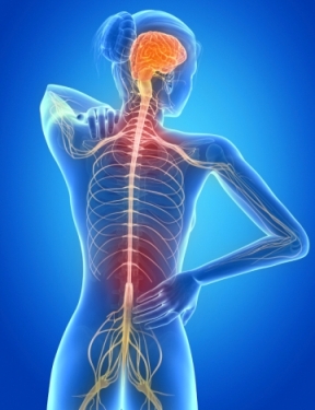 בלט דיסק צווארי הגדרת התופעה בלט דיסק צווארי