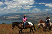 אחרי ניתוח פריצת דיסק - דר דוידוביץ
