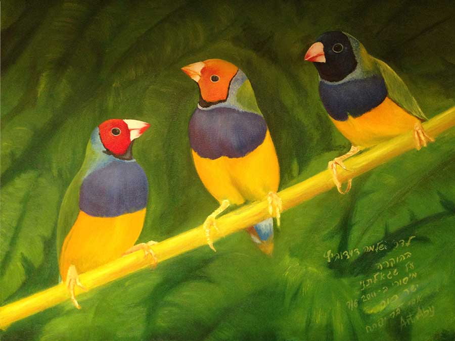 recognition_for_exellence