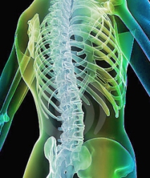 פריצת דיסק בגב